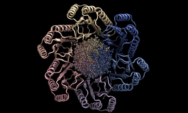 AI turns its artistry to creating new human proteins