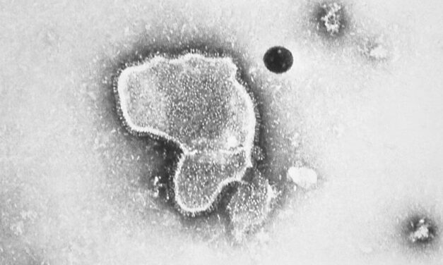 FDA says Guillain-Barre syndrome is a potential risk for a Pfizer RSV vaccine