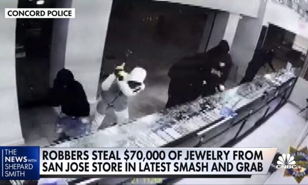 Organized crime plagues retailers and fuels debate