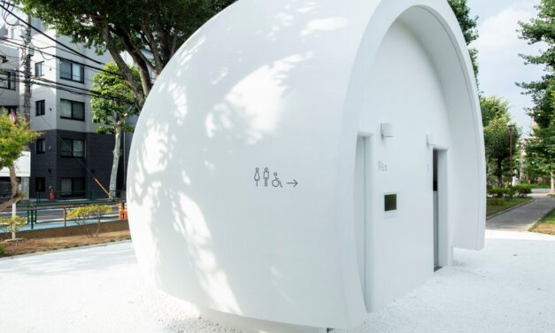 Why are public toilets still so rare?