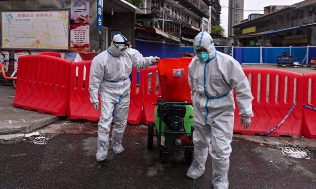 Scientist reviews data on raccoon dogs and Covid, emphasizing the unknowns