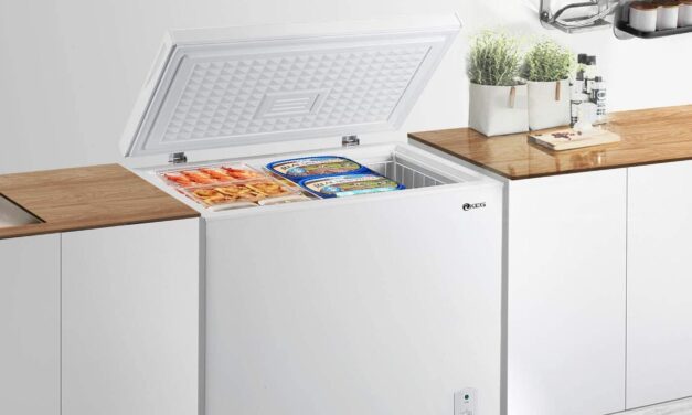 Can I Freeze Sour Cream?  How to freeze it so that the dairy product lasts longer