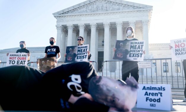 The Supreme Court’s pork decision could empower states to set their national policies