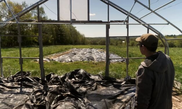 Staaten verklagen 3M und DuPont wegen „ewiger Chemikalien“ im Trinkwasser