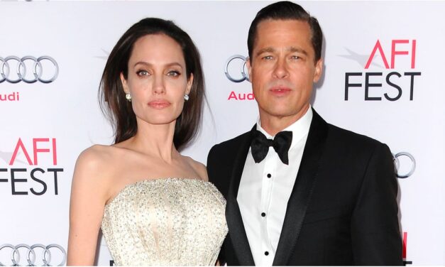 Brad Pitt and Angelina Jolie Divorce Details