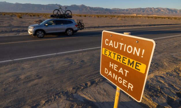 10 things you can do