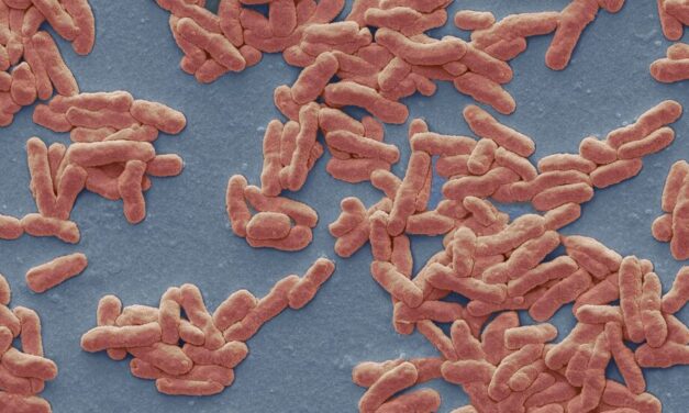 Leprosy May Be Endemic in Central Florida, Scientists Report