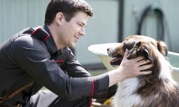 Dog Movies on Netflix | POPSUGAR Entertainment