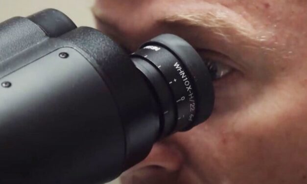 Google, DoD built an AI-powered microscope to help doctors spot cancer