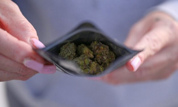 Online Marijuana Shops Make It Easy for Minors to Buy, Study Finds