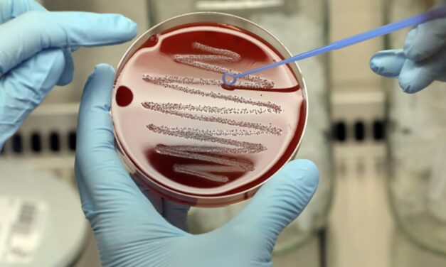 A hotter world makes it harder to stop the spread of superbugs