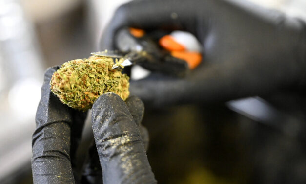 Federal Scientists Recommend Easing Restrictions on Marijuana