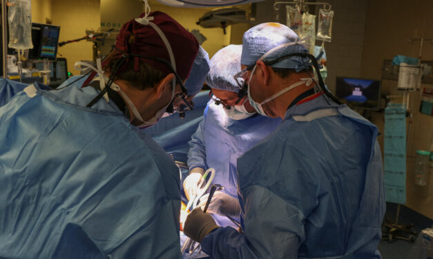Surgeons Transplant Pig Kidney Into a Patient, a Medical Milestone