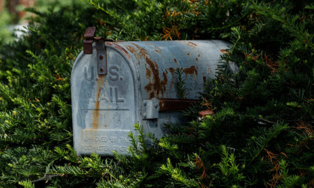 How to Protect Your Mail-Order Prescriptions From Extreme Heat