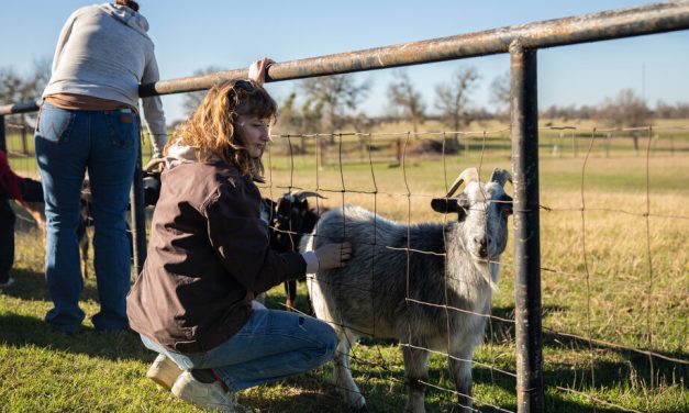 Kennedy’s Plan for the Drug Crisis: A Network of ‘Healing Farms’