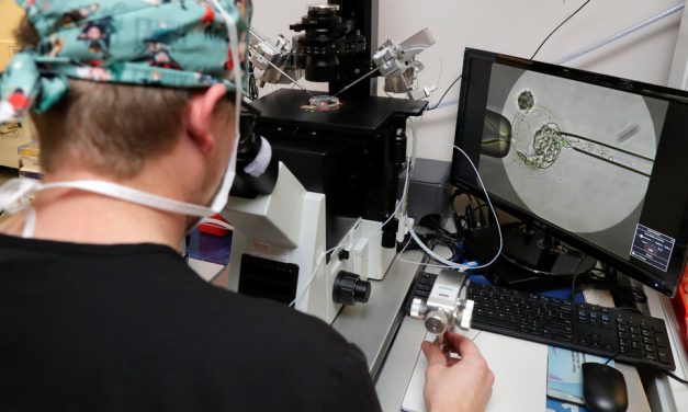 Trump has asked for more babies, but released fertility experts