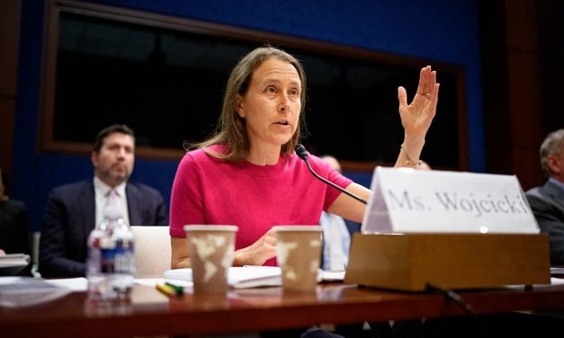 Anne Wojcicki buys 23andme and his data for $ 305 million,