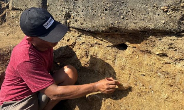 Estimated stones found in Indonesia changed everything that is known about the distribution of the ancestor