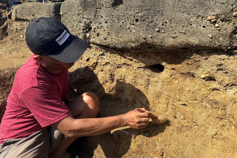 Estimated stones found in Indonesia changed everything that is known about the distribution of the ancestor