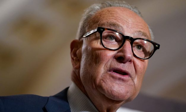 The Democrats are based in health care as a threat to the government’s closure