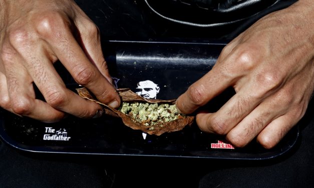 „Trump-Effekt“ weckt Hoffnungen auf Cannabis-Rallye