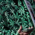 Trump confirms possible drug reclassification, but stocks fall