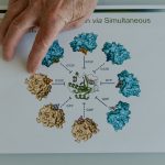 How an “impossible” idea led to a breakthrough in pancreatic cancer