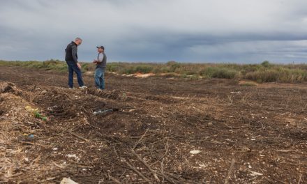 Military bases are full of “forever chemicals”. New Mexico wants them cleaned up.
