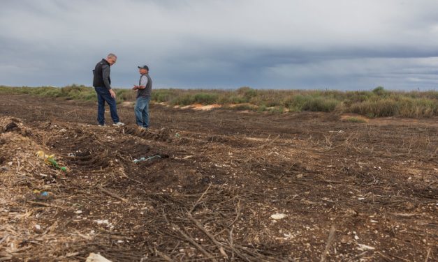 Military bases are full of “forever chemicals”. New Mexico wants them cleaned up.