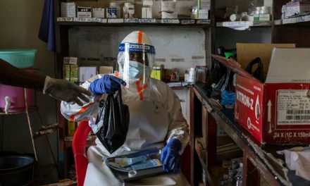 As the Ebola outbreak spreads, scientists are trying to test treatments