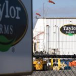 Taylor Farms expands iceberg lettuce recall to 27 states due to Cyclospora outbreak