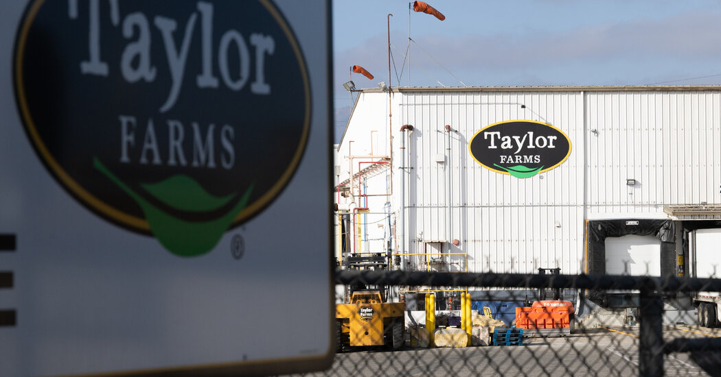 Taylor Farms expands iceberg lettuce recall to 27 states due to Cyclospora outbreak