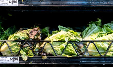 “Lettuce or salad greens” identified as a potential source of the Cyclospora outbreak