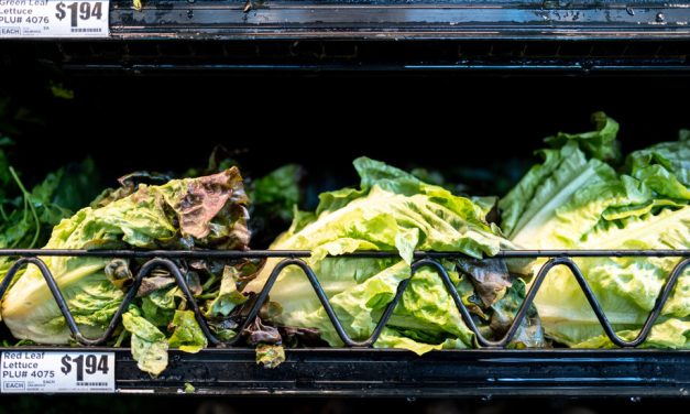“Lettuce or salad greens” identified as a potential source of the Cyclospora outbreak